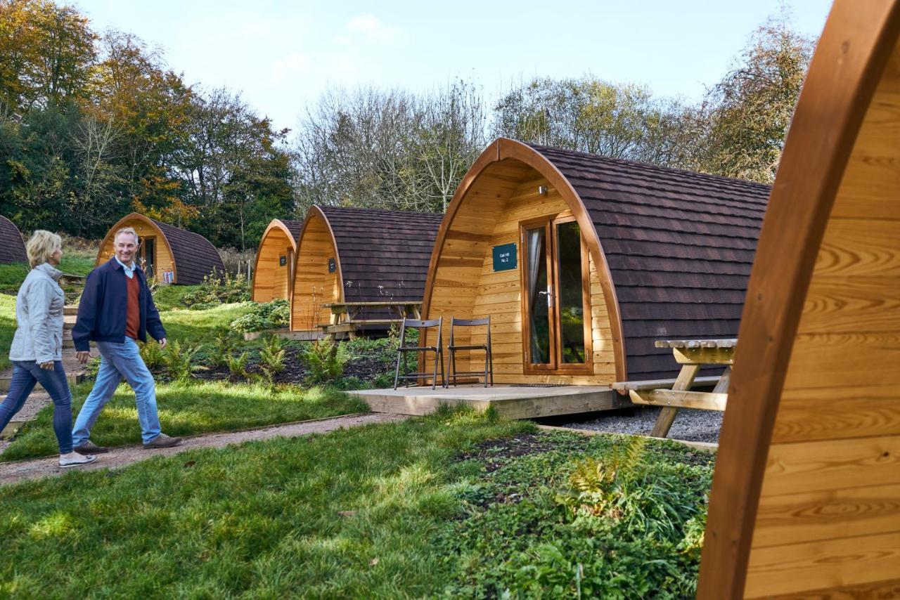 Hotel Whitemead Forest Park Lydney Exteriér fotografie