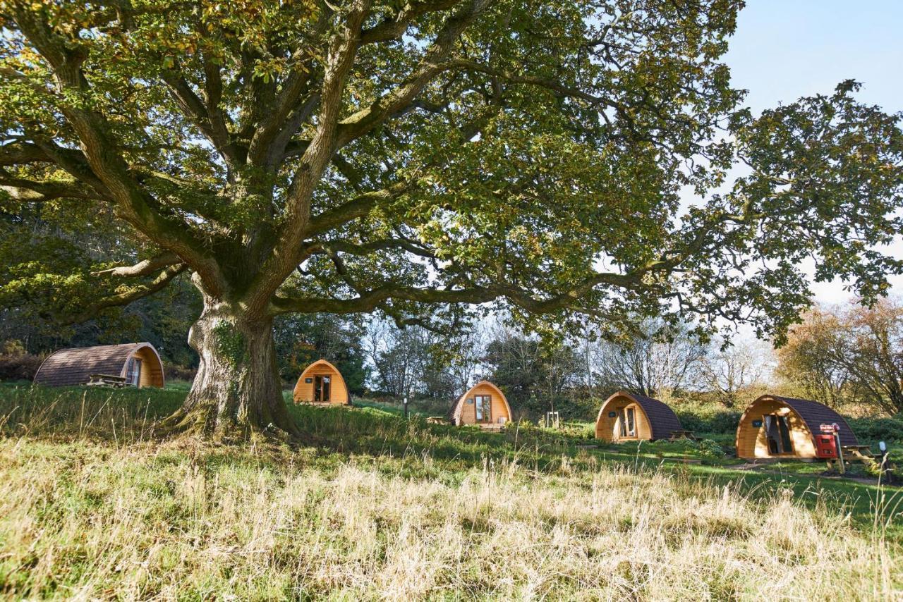 Hotel Whitemead Forest Park Lydney Exteriér fotografie